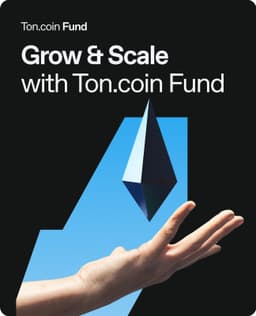 Website Design For Toncoin.fund - thumbnail 8