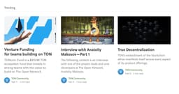 Website Design For Toncoin.fund - thumbnail 9