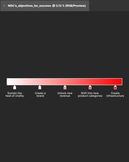Ethnographic Strategy for Adobe’s Entrepreneurial Creators - thumbnail 6