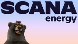 Brand Identity for SCANA Energy - thumbnail 2