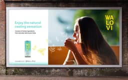 Global Brand Identity for Wanglaoji Herbal Tea - thumbnail 8