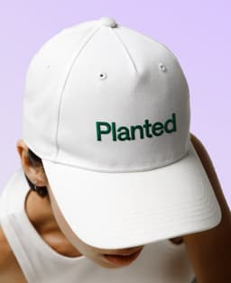 Brand Identity for Planted ESG Platform - thumbnail 6