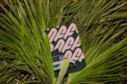 Brand Identity for Off Camper Rental - thumbnail 9