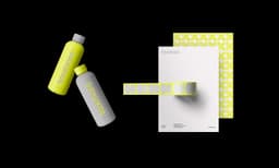 Brand Identity for Collaborative Payroll Platform - thumbnail 5