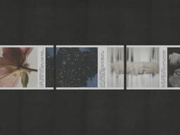Brand Identity For Uniscent - thumbnail 3