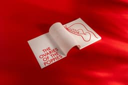 Exhibition Design For The Ovaries Of The Poppies - thumbnail 7