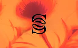 Brand Identity for Global Hospitality Experiences - thumbnail 3