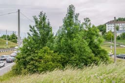 Public Art Archive for Stuttgart - thumbnail 6