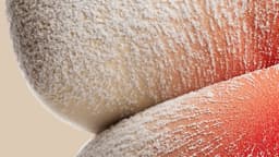 Visual Identity For Skinceuticals Brand Assets - thumbnail 8