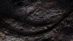 Film Series For Hermès Seasons - thumbnail 4