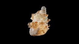 3d Motion Exploration Of Mineral Formation For Media.work - thumbnail 2