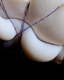 Experimental Motion Study For Foam Material - thumbnail 2