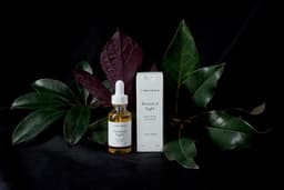 Rebranding And Packaging For Casa Selva Skincare - thumbnail 2