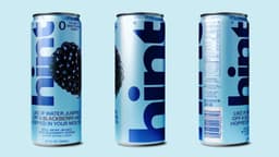 Brand Identity and Campaign for Hint Water - thumbnail 4