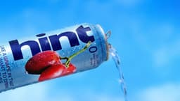 Brand Identity and Campaign for Hint Water - thumbnail 5