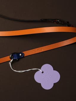 Brand Identity For Fluffle Pet Accessories - thumbnail 6