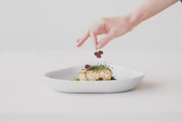 Website And Digital Identity For Figgjo Porcelain - thumbnail 3