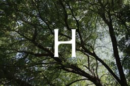 Bespoke Visual Identity For Norwegian Carpentry Brand Hamran - thumbnail 4