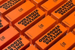 Brand Identity and Packaging for Booze&Buzz Meadery - thumbnail 2