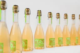 Brand Identity and Packaging for Booze&Buzz Meadery - thumbnail 8