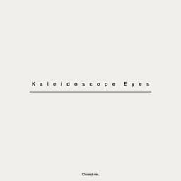 Exhibition Identity for Kaleidoscope Eyes - thumbnail 8