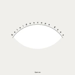 Exhibition Identity for Kaleidoscope Eyes - thumbnail 9