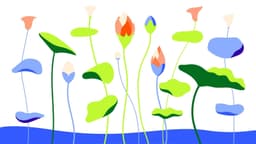 Motion Campaign for Finda’s Financial Platform - thumbnail 4