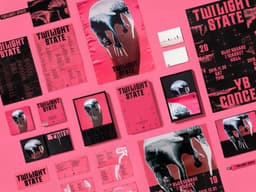 Album Packaging and Merchandise for YB’s Twilight State - thumbnail 4