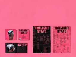Album Packaging and Merchandise for YB’s Twilight State - thumbnail 6