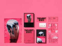 Album Packaging and Merchandise for YB’s Twilight State - thumbnail 7