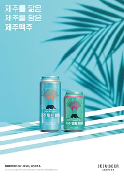 Visual Identity Renewal for Jeju Beer - thumbnail 6