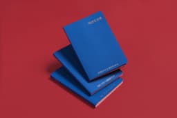 Editorial Design for Birth of the Passport - thumbnail 3