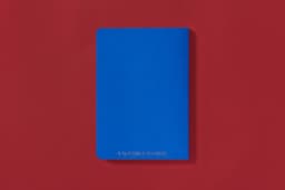 Editorial Design for Birth of the Passport - thumbnail 5
