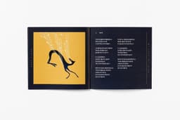 Album Packaging for Dear Cloud - thumbnail 8