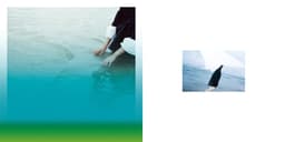 Album Packaging for Jeon Jin Hee’s Piano and Voice - thumbnail 9