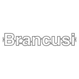 Graphic Identity for Brancusi - thumbnail 4
