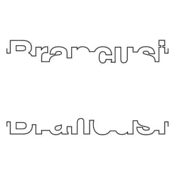 Graphic Identity for Brancusi - thumbnail 5
