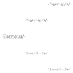 Graphic Identity for Brancusi - thumbnail 7