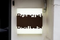 Graphic Identity for Brancusi - thumbnail 9