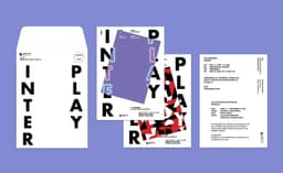 Exhibition Identity and Catalogue for INTERPLAY - thumbnail 5