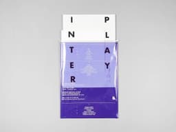Exhibition Identity and Catalogue for INTERPLAY - thumbnail 8