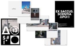 Graphic Identity for APO13 - thumbnail 4