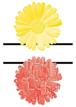 Poster Contribution for Nature and the City - thumbnail 2