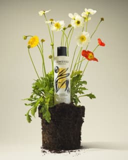 Brand Identity For Cowshed - thumbnail 5