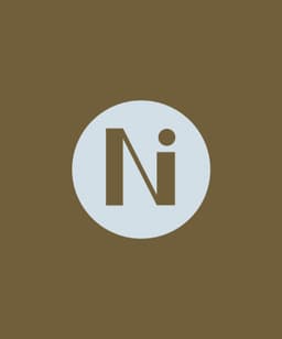 Brand Identity And Website Design For No Island - thumbnail 7