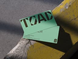 Brand Identity For Toad Architecture - thumbnail 4