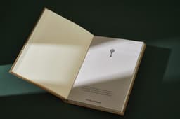 Brand Identity For A Portuguese Filigree Institution  - thumbnail 9