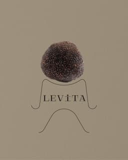Packaging Concept For A Gourmet Truffle Brand  - thumbnail 2
