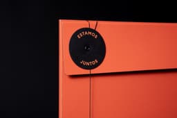 Packaging For A Limited-edition Vinyl Record  - thumbnail 5