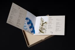 Album Packaging For A Hong Kong Singer  - thumbnail 8